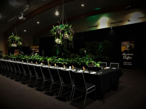 Table planters and hanging bowls - Price on inquiry Living Green Bowls